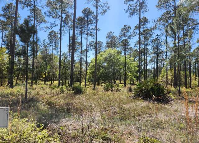 Property at 0 Breakaway Gap Rd, Tallahassee, FL 32305