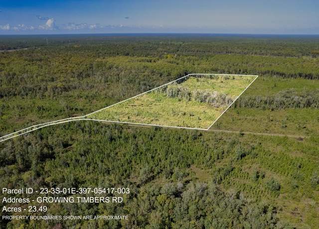 Property at Lot 3 Growing Timbers Rd, Crawfordville, FL 32327