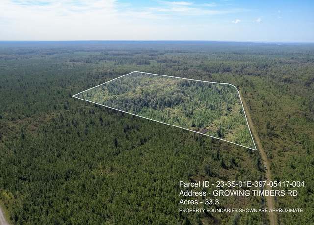 Property at Lot 4 Growing Timbers Rd, Crawfordville, FL 32327