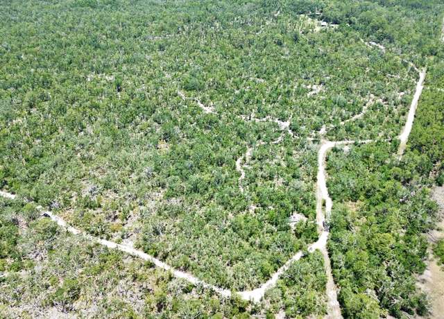 Property at 00 Clearwater Creek Ln, Perry, FL 32348