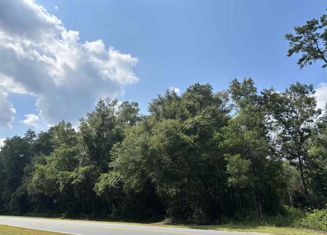 Property at xxxx Dr Mlk Jr Memorial, Crawfordville, FL 32327