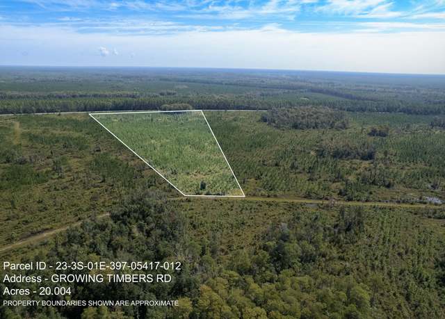 Property at Lot 12 Growing Timbers Rd, Crawfordville, FL 32327