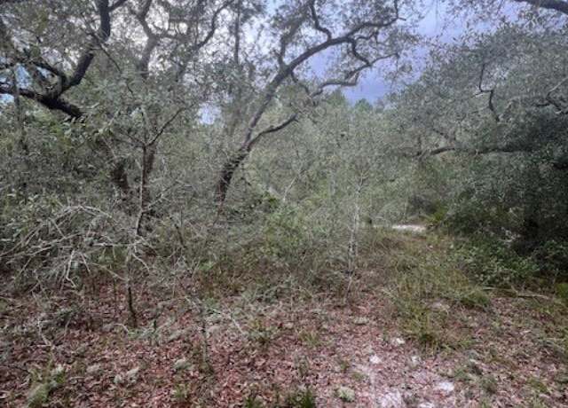 Property at Levy Bay Rd, Panacea, FL 32346