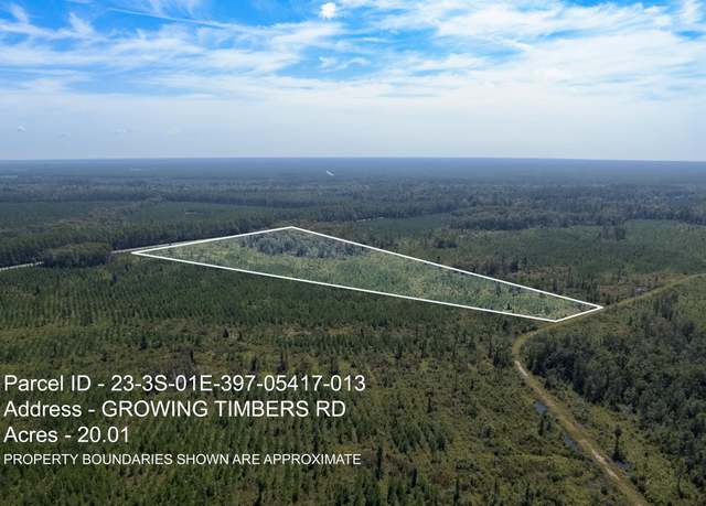 Property at Lot 13 Growing Timbers Rd, Crawfordville, FL 32327