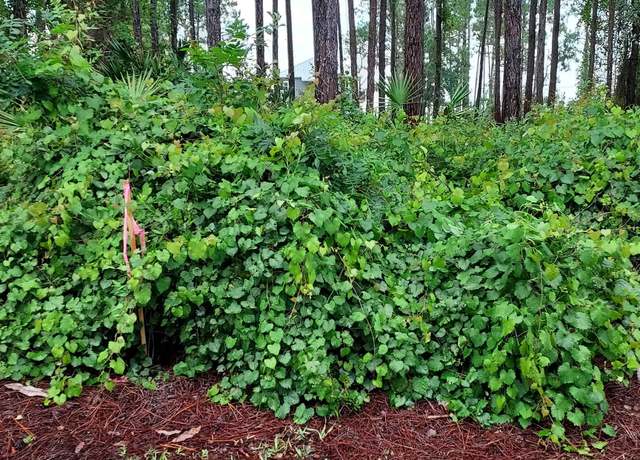 Property at 118 Royal Tern Way, Carrabelle, FL 32322