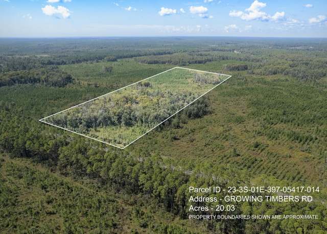 Property at Lot 14 Growing Timbers Rd, Crawfordville, FL 32327