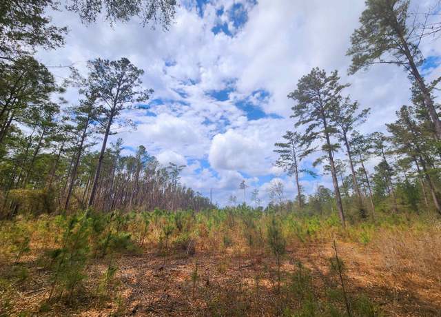 Property at Lot 56 SW Paradise Way, Greenville, FL 32331