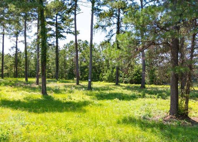 Property at 205/225 Stillwater Ln, Gadsden, FL 32333