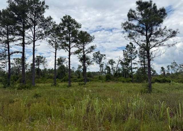 Property at TBD Albert Hendry Rd, Greenville, FL