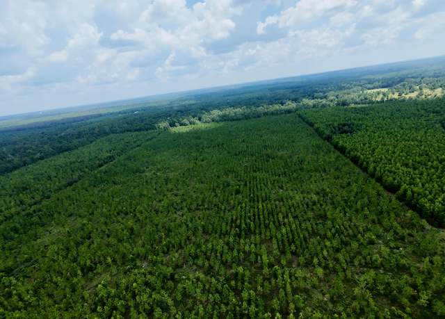 Property at TBD SW Cr 141 Hwy, Jasper, FL 32305