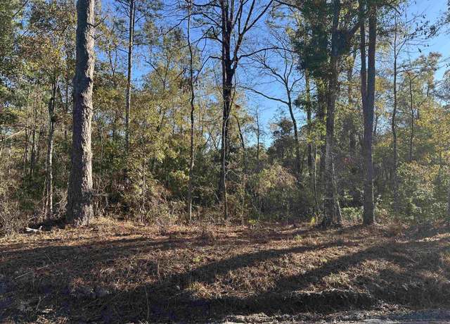 Property at Choctaw Rd, Crawfordville, FL 32327