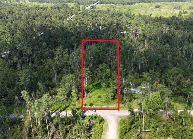 Property at 000 NE Blue Springs Church Rd, Lee, FL 32059