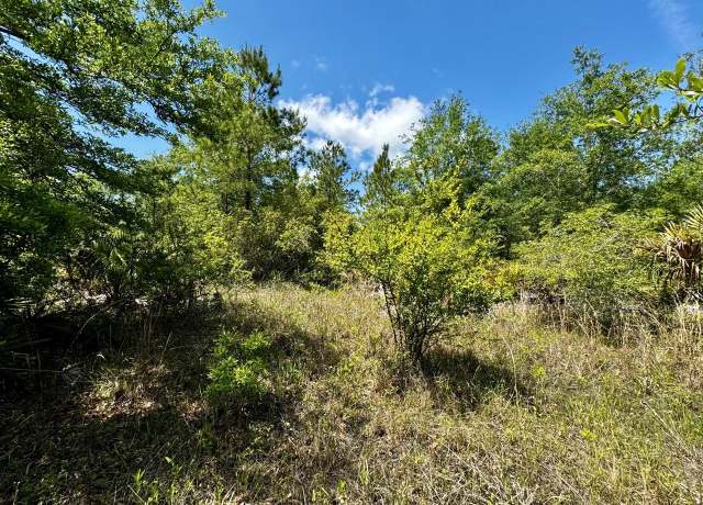 Property at Vacant 62 Rd, Lamont, FL 32336