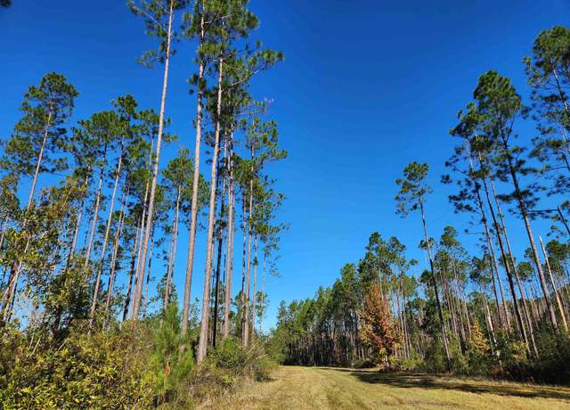 Property at Lot 44 SW Ontario Rd, Greenville, FL 32331