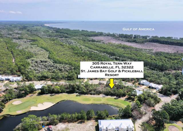 Property at 305 Royal Tern Way, Carrabelle, FL 32322
