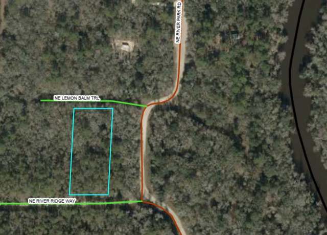 Property at Vacant NE Lemon Balm Trl, Lee, FL 32059