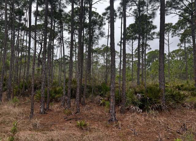 Property at XX Warbird Cir, Panacea, FL 32346