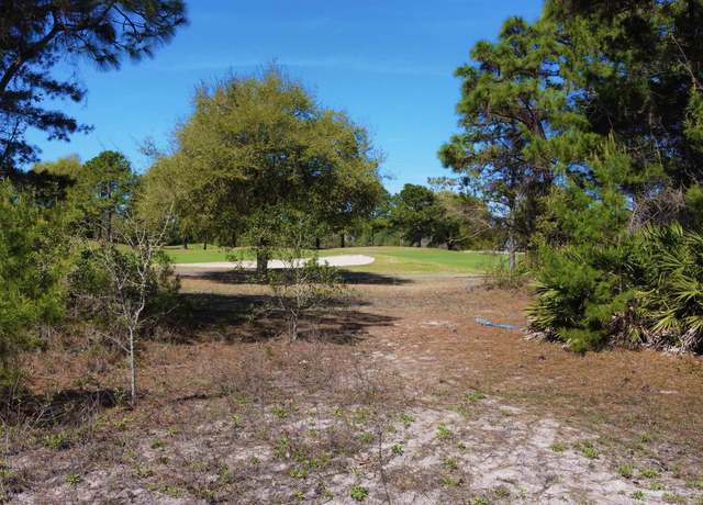 Property at 273 Royal Tern Way Way, St James, FL