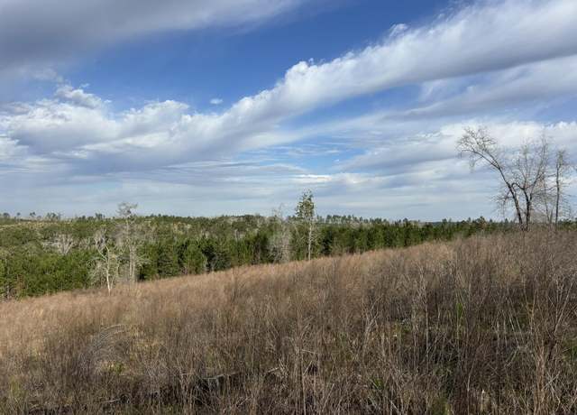 Property at 322 Graceland Rd, Chattahoochee, FL 32324, 3 beds, 2 baths