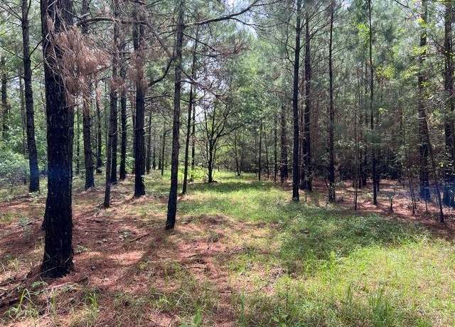 Property at XX Orchard Rd, Quincy, FL 32351