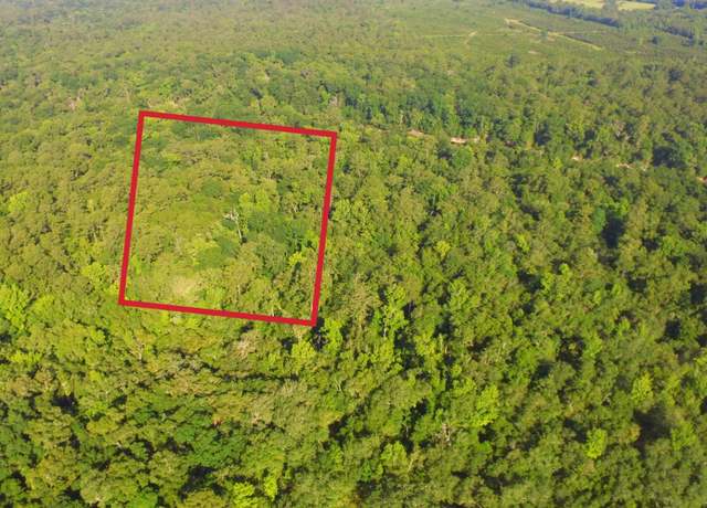Property at 000 Suwannee River Park Ests, Live Oak, FL 32060