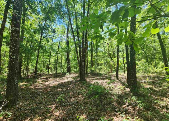 Property at Lot 16 E Bear Hollow Trl, Greenville, FL 32331