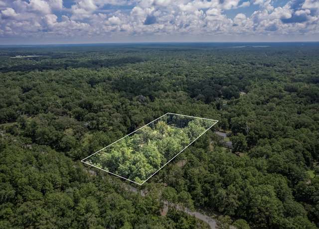 Property at 131 W Summerwind Cir, Crawfordville, FL 32327, 4 beds, 2 baths