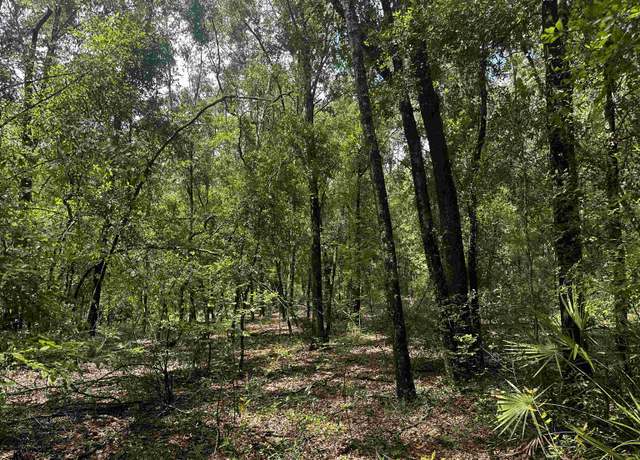 Property at XXX NE Champion Loop, Lee, FL 32059