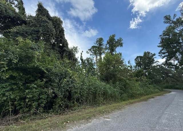 Property at 0 SW Bishop Ave, Greenville, FL 32331