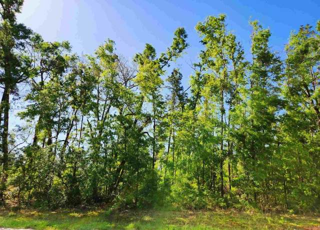Property at Lot 14 NW Champion Oak Blvd, Jennings, FL