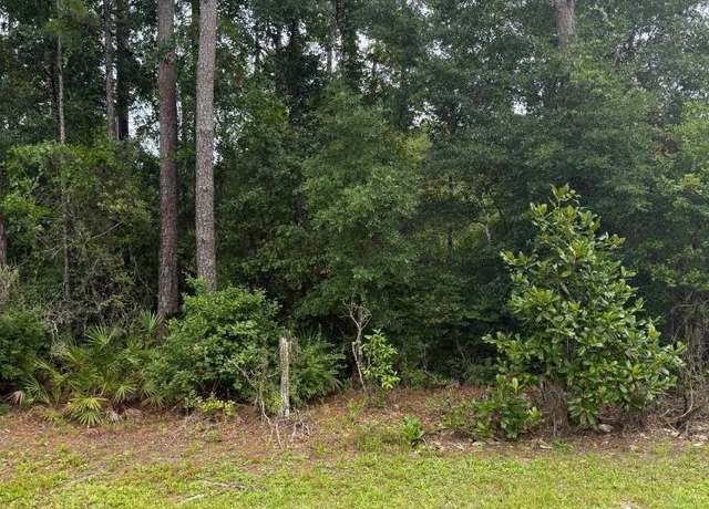 Property at NE County Road 67, Hosford, FL