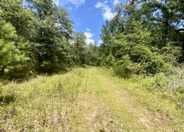 Property at 0000 NE Dandelion St, Madison, FL 32340