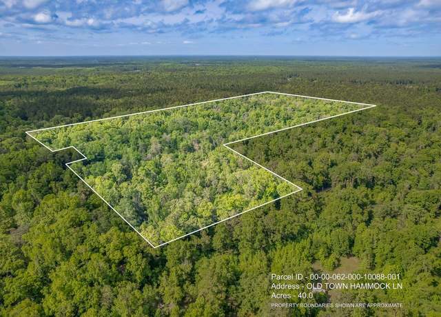 Property at 40 ac 0 Old Town Hammock Ln, Crawfordville, FL 32327