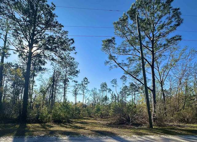 Property at 0 Langford Ln, Perry, FL 32347
