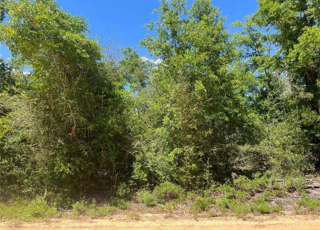 Property at Hocking St, Alford, FL 32420
