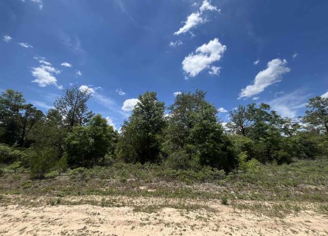 Property at Magnolia Ln, Marianna, FL 32448