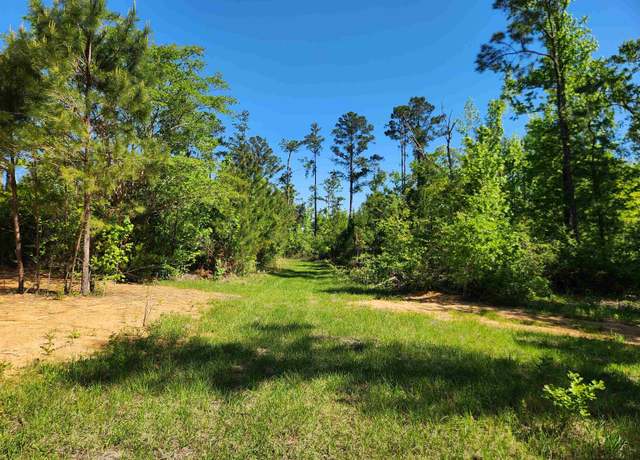 Property at 19265 SE Wrennie Moody, Blountstown, FL 32424