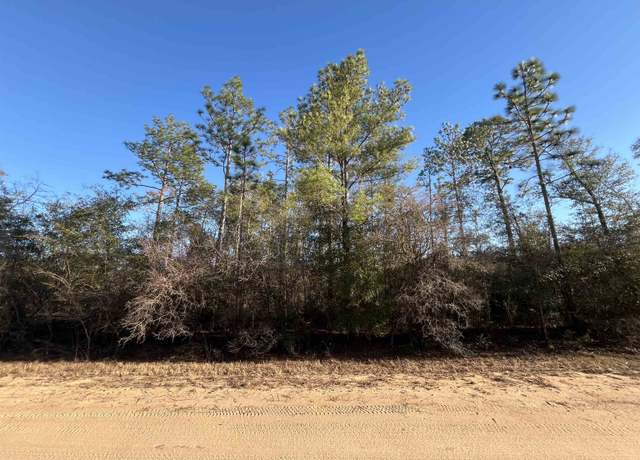 Property at Goreville Ave, Alford, FL 32420