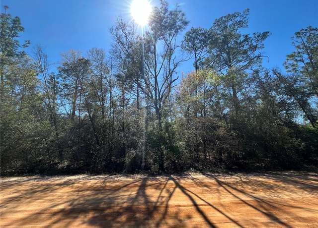 Property at Rossville Ave, Alford, FL 32420