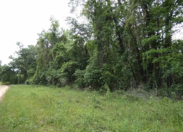 Property at tbd E 2nd Way, Greenville, FL 32331