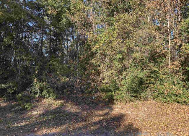 Property at Lots 6 & 7 Magpie Trl, Crawfordville, FL 32327
