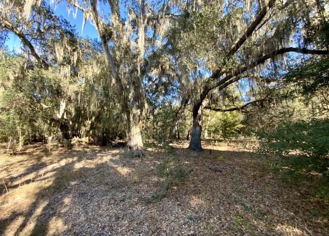Property at Vacant NE Bittersweet Trl, Madison, FL 32340
