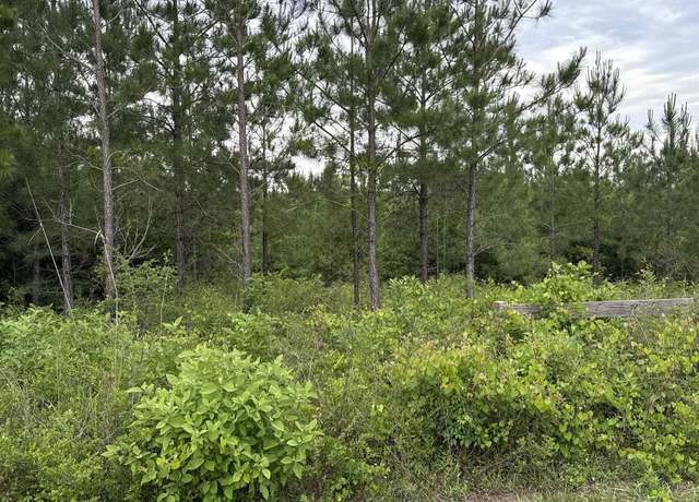 Property at 0000 NW Church Rd, Altha, FL 32421
