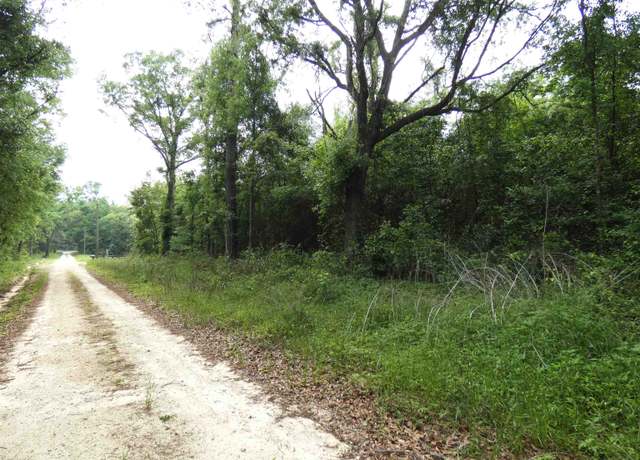 Property at TBD Devane Rd, Monticello, FL 32344