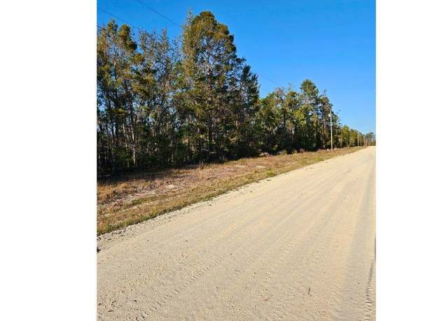 Property at TBD N Whitetail Dr, Perry, FL 32348