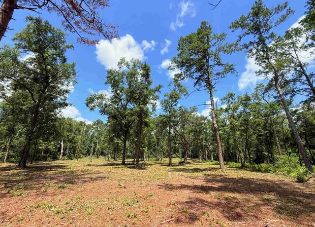 Property at 489 Ashville Highlands Dr, Greenville, FL 32331