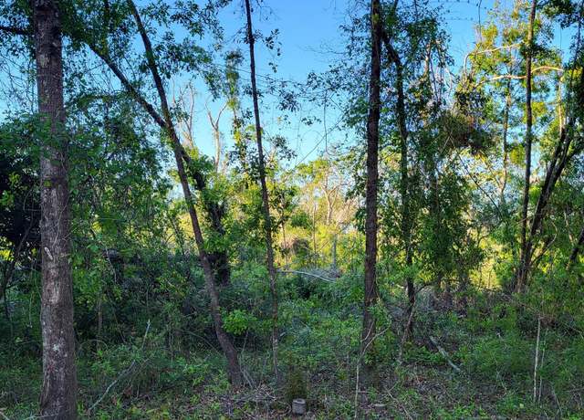 Property at Lot 85,86 Canopy Ln, Perry, FL 32347