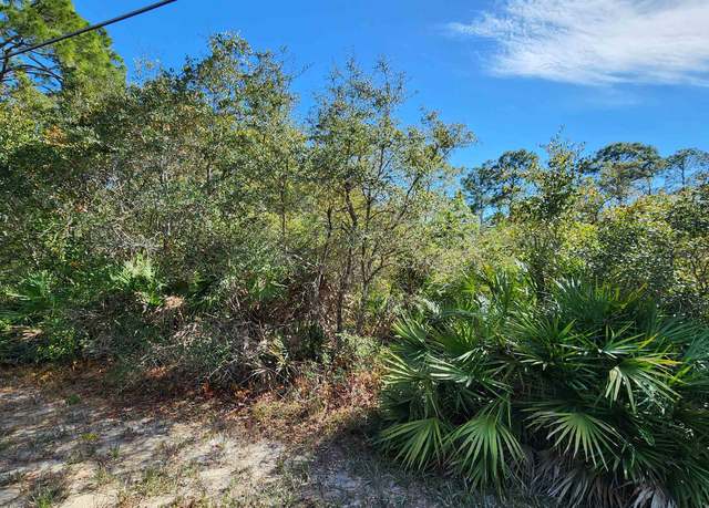Property at Lot 19 Monocoupe Dr, Panacea, FL 32346