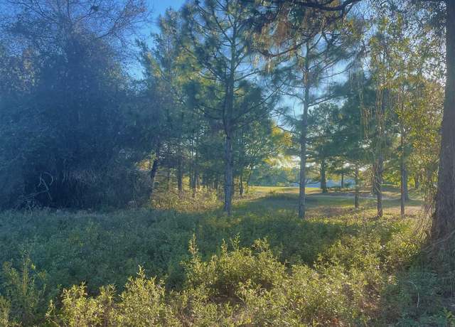 Property at 269 Royal Tern Way, Carrabelle, FL 32322