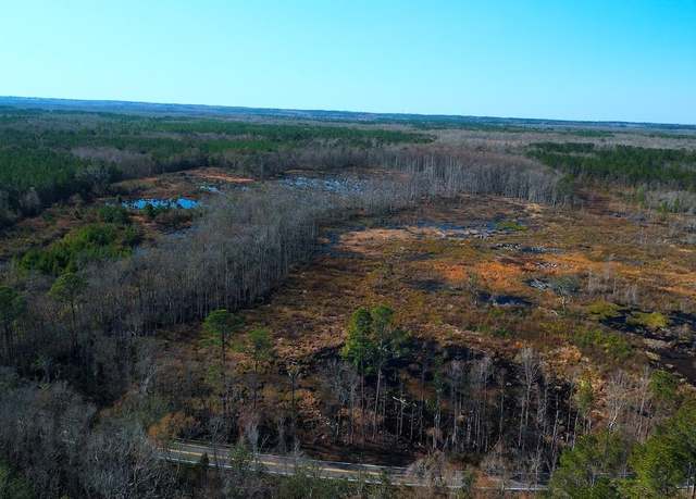 Property at xxx Big Joe Rd, Monticello, FL 32344